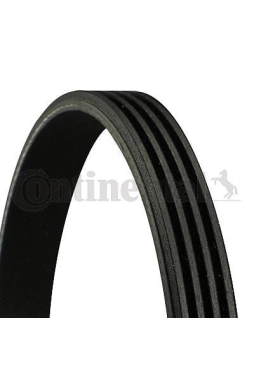 CONTINENTAL CTAM 4PK850 | Kanallı Kayış Passat Excel Accent (48353.)