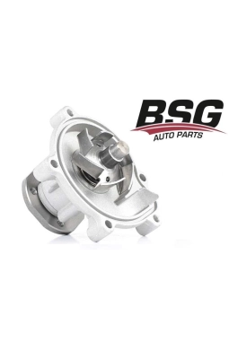 BSG 60-500-017 | Mercedes W169 Kasa Devirdaim (Su Pompası)
