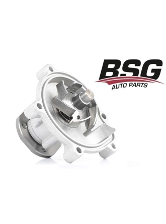BSG 60-500-017 | Mercedes W169 Kasa Devirdaim (Su Pompası)