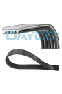 DAYCO 5PK1515 | Kanallı V Kayışı W176 12-18 W177 18-Clio II 1.2 98=-Twng 1.2 (98 00)