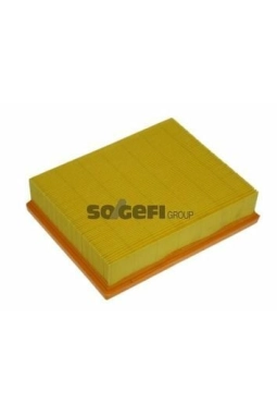 PURFLUX A1213 | Hava Filtresi 05-13 A-Seri (W169) B-Seri (W245)