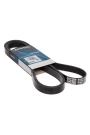 DAYCO 6PK2315 | Kanallı Kayış W202 97-00 W204 07-14 S203 01-07 S204 07-14 W210 96-02 W212 09-15