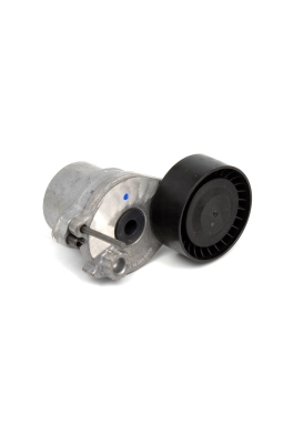 INA 534057010 | Mercedes W204 Kasa C180 274 Motor Kayış Gergi Kütüğü