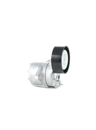 KYBURG 120-070006 | Mercedes W204 Kasa C220 Cdi 646 Motor Kayış Gergi Kütüğü