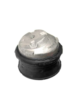 VAICO V30-1119 | Mercedes W208 Kasa CLK 430 Motor Kulağı