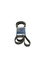 BOSCH 1987948495 | Mercedes Sprinter W906 315-515 Euro 4 Motor V Kayışı 6pk2260
