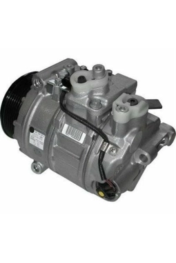 MAGNETI MARELLI 359002000290 | Klima Kompresörü 01-09 C-Seri (W203-S203) E-Seri (W211-S211)