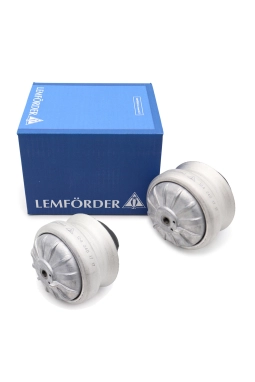 LEMFORDER 3871101 | Mercedes W124 Kasa Motor Kulağı Takım