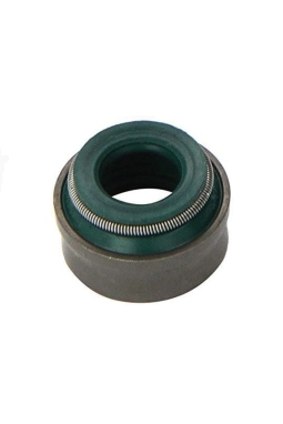 GOETZE 50-307044-50 | Mercedes W124 E200 111 Motor Subap Lastiği