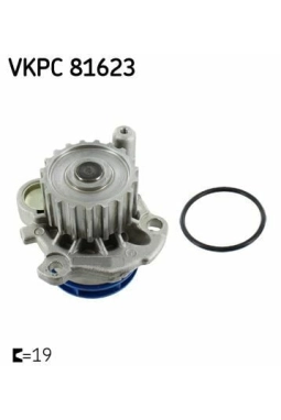 SKF VKPC81623 | Devirdaim Golf IV Passat Leon Cordoba A3 A4 Superb 1.9 TDI 2.0 TDI Avf Avm Bkd Cbab Cbbb Awx Ajm Atj Atd