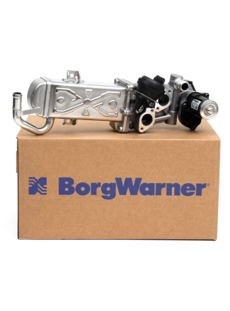 WAHLER 710861D | Volkswagen Golf 6 1.6 TDI Soğutuculu Egr Valfi