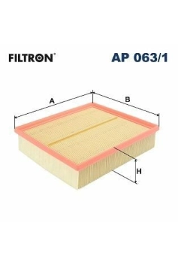 FILTRON AP063-1 | Hava Filtresi 96-05 Passat