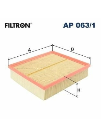 FILTRON AP063-1 | Hava Filtresi 96-05 Passat