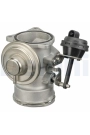 DELPHI EG10409-12B1 | EGR Valfi 03-10 T.Porter.T5-Passat-A4-A6 1.9Tdi