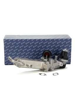 PIERBURG 7.09720.00.0 | Volkswagen Passat 2011-2014 1.6 TDI Soğutuculu Egr Valfi