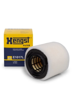 HENGST E1017L | Volkswagen Polo V 1.4 GTI Hava Filitresi