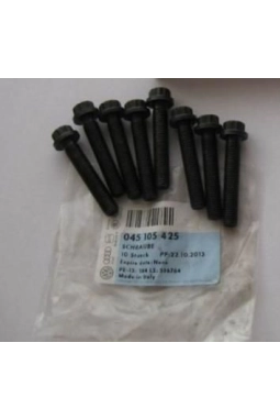 OEM 045105425 | Volkswagen Scırocco 1.4TSI Piston Kol Civatası