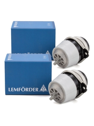 LEMFORDER 3437801 | Volkswagen Touareg 2006-2010 Model Arası Motor Kulağı Takımı