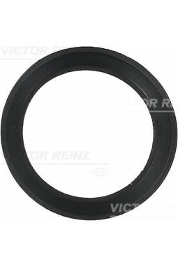 VİCTOR REİNZ 71-36061-00 | Manifold Contası Emme 98-Golf.IV-V-Bora-Psst-Oct-Tld-Leo-A3 1.6 *Bsf-Bse-Bgu-Bgd* Victor