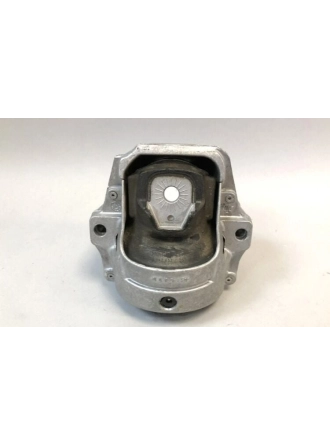 SWAG 8R0199381C | Audi A4 2004-2008 Motor Kulağı Sağ