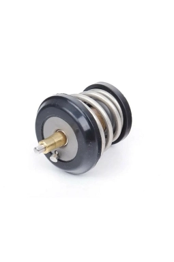 TOPRAN 113297546 | Audi A4 2008-2015 2.0 TFSI Termostat