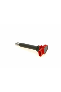 BOSCH 0221604800 | Bobin 06-18 Touareg-Cayenne-Q7