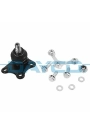 DAYCO DSS1261 | Rotil Sol (VW: Polo IV Skoda Fabia Seat Cordoba)