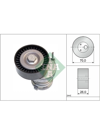 INA 534012320 | Seat Cordoba 1999-2009 Model Arası Motor V Kayışı Gergi Kütüğü