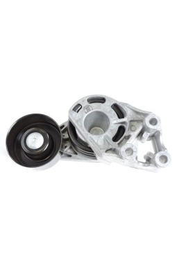 INA 534018710 | Seat İbiza 2002 -2009 Model Arası 1.4TDI AMF -BNV Motor Gergi Kütüğü Komple