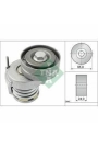 INA 534006510 | Seat Leon 2006-2012 Model Arası 1.4 TSI Motor V Kayış Geri Bilyası