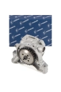 PIERBURG 7.07919.07.0 | Seat İbiza 2010-2017 Model Arası 1.4 TSI Motor Yağ Pompası
