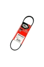 GATES 6PK1070 | Seat İbiza 2010-2014 1.6TDI V Kayışı
