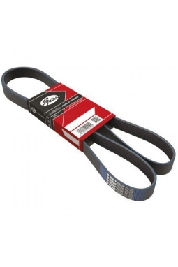 GATES 6PK1043 | Seat Leon 2006-2012 Model Arası 1.6 Benzinli Motor V Kayışı