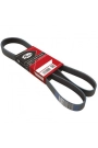 GATES 6PK1043 | Seat Leon 2006-2012 Model Arası 1.6 Benzinli Motor V Kayışı