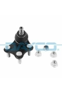 DAYCO DSS2558 | Rotil Sol (VW: Polo V / Seat: Ibiza 09 -)