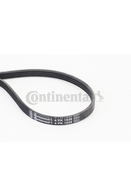 CONTINENTAL CTAM 4PK1538 | Kanallı Kayış (Mıcro) Clio II 98= > Kangoo 97= > Twng 96= > 1.2 1.2 16V