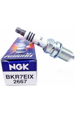 Ngk Bmw R 1100 Rt 1995-2001 Bkr7Eıx Iridyum Buji