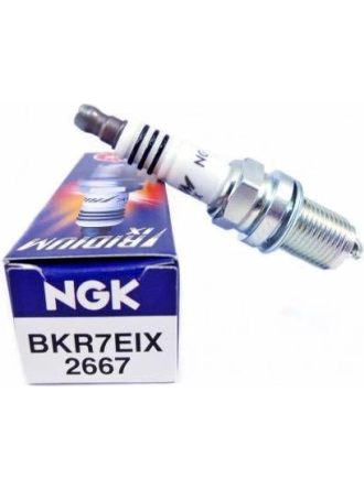 Ngk Bmw R 1100 Rt 1995-2001 Bkr7Eıx Iridyum Buji