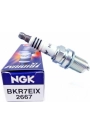 Ngk Bmw R 1100 Rt 1995-2001 Bkr7Eıx Iridyum Buji