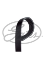 GATES 7PK1600 | Renault Clio 4 2012-2020 0.9 tCe 1.2 tCe Benzinli Alternatör Kayışı 7 Pk 1600