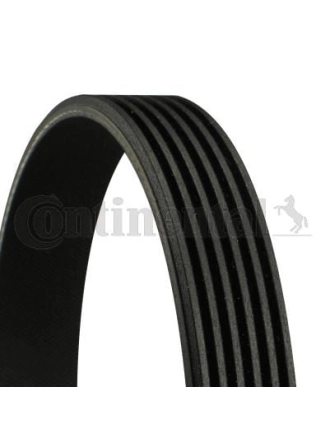 CONTINENTAL CTAM 6PK1065 | V Kayışı 07-BMW 3-Seri