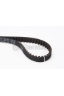CONTINENTAL CTAM CT744 | Triger Kayışı 106-205-206-306 1.4-1.6 8V