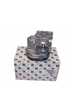 PSA 0345.G4 | Peugeot 206+ 2010-2012 1.6 Dizel Hava Dozörü Orijinal
