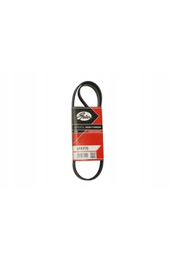 GATES 6PK975 | Peugeot 207 1.4 Hdi Euro5 V Kayışı