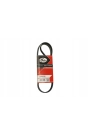 GATES 6PK975 | Peugeot 207 1.4 Hdi Euro5 V Kayışı