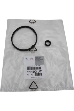 PSA 1103.j7 | Peugeot 307 1.6 16 Valf Benzinli Yağ Filtre Kütük Conta Takımı Orijinal