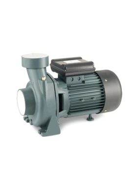 Rain Pump Shfm6cr Santrifüj Su Pompası 1.5 Hp / 4''