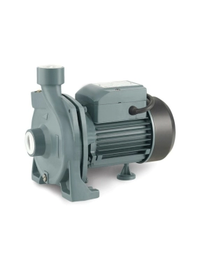 Rain Pump Cpm170 Santrifüj Su Pompası 1.5 Hp