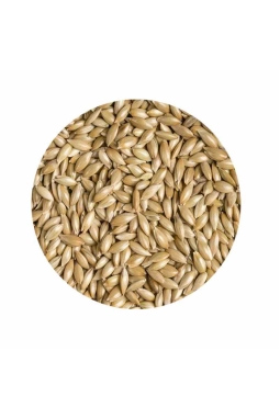Hobi Sade Kanarya Yemi Aspur 1 KG (Bölünmüş)
