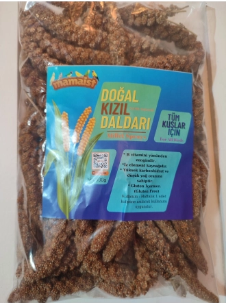 Mamaist Kızıl Daldarı Birinci Sınıf 500 Gr 